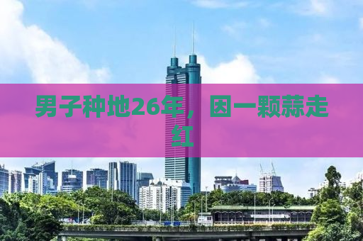 男子种地26年，因一颗蒜走红